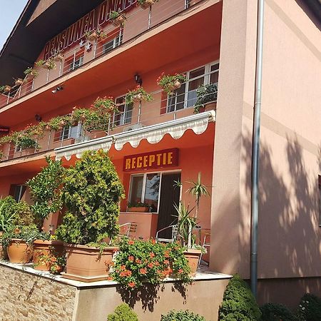 Onalisa Hotel Arad Exterior photo