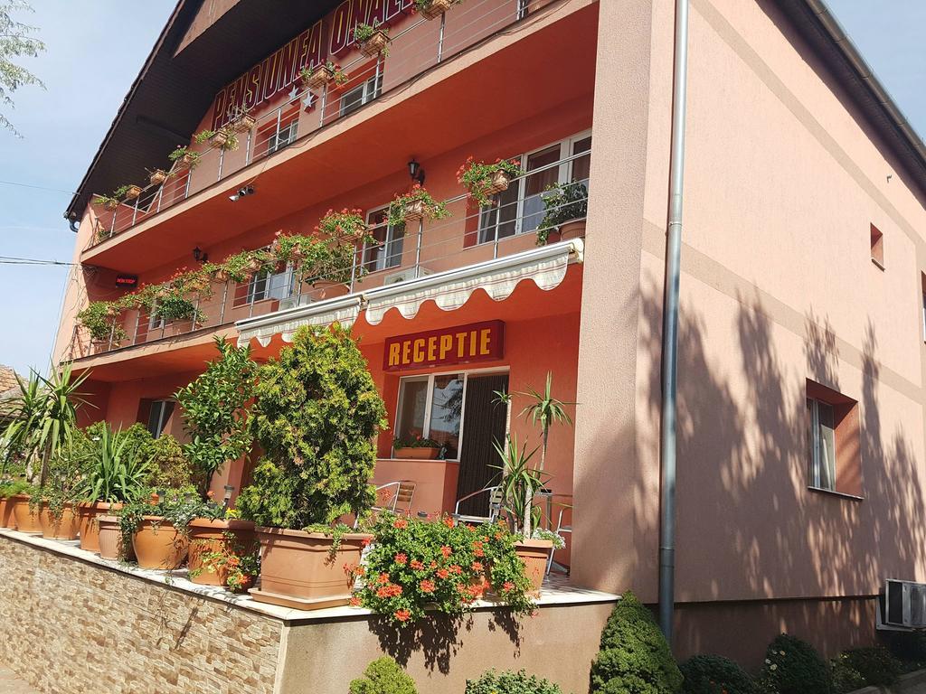 Onalisa Hotel Arad Exterior photo